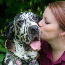 TOP 10 BEST Self Service Dog Wash near Landisville, PA