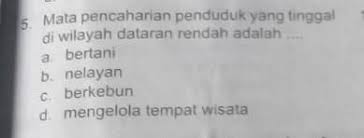 Maybe you would like to learn more about one of these? Mata Pencaharian Penduduk Yang Tinggal Di Wilayah Dataran Rendah Adalah Brainly Co Id