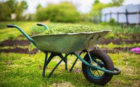 We are offering different types of goods for home , kitchen & dining, furniture & décor Essential Home Gardening Tools Their Uses Zameen Blog