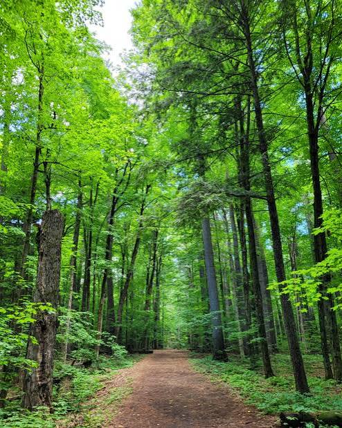 Local recreation destination