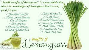 Top 13 Health Benefits Of Lemongrass Lemon Grass Antioxidants Benefits Skin Lemon Grass Benefits