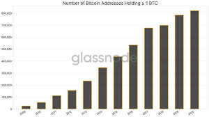 En novembre 2013, le cours bitcoin franchi le cap des 1000 $, le niveau des. 800 000 Adresses Bitcoin Detiennent Au Moins 1 Btc Et 95 De La Valeur Cryptonaute