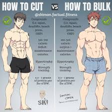 Brand New Beginners Guide Ebook Coming January 1st Please Turn On Post Notifications And Stor Gym Workout Tips Weight Training Workouts Muscle Fitness
