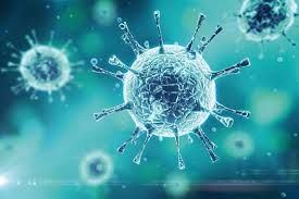 Image result for Influenza