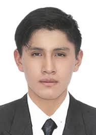 Ingresos de Otorongos Elecciones 2022