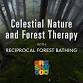 Celestial Nature and Forest Therapy: Winter Solstice event image