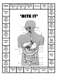 Digestive System Games Digestive System Games Human Body Systems Digestive System