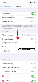 Cara Setting Personal Hotspot Di IPhone 12 12 Mini 12 Pro Dan 12 Pro Max
