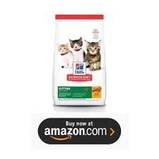 The top five best cat food for diarrhea based on my research and tests with my cat, as well as other customers' point of views, here are the top five best cat food products for sensitive stomach & diarrhea: Best Cat Food For Diarrhea In 2021 Top 10 Foods Reviews Pets Gossips