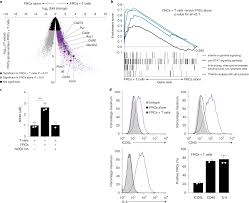 fibroblastic reticular cells enhance t cell metabolism and