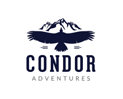 Birds Of Prey Movie Logo Transparent Logo Design For Condor Adventures By Aiex Logo Design Logos Dm Design