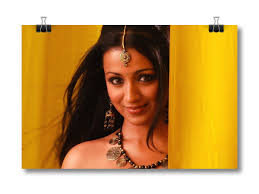 Trisha Krishnan - South Indian Actress Poster PL3341 : Amazon.in: Home &  Kitchen