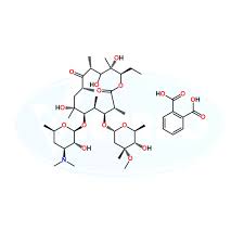 Image result for Erythromycin
