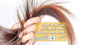أهم الأسباب المؤدية لتقصف الشعر والطرق العلاج ثقفني