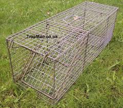 If you trap a cat and release him or. Large Feral Cat Trap A Much Longer Larger Cat Trap For Catching Those Large Tom Cats And Similar Sized Animal Pests In Your Garden