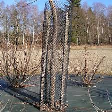 Cette collection est composée de nos nombreuses variétés d'agrumes, de figuiers, d'asiminiers, de kiwi, etc. Protections Gibier Vente En Ligne De Protections Gibier