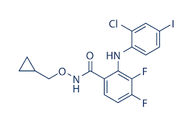 Image result for MEK Inhibitor