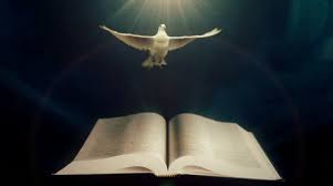 Here you can explore hq holy spirit transparent illustrations, icons and clipart with filter setting like size, type, color etc. Dove Holy Spirit Stock Footage Royalty Free Stock Videos Pond5