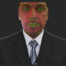 Recognition of Emotions through Facial Geometry with Normalized Landmarks