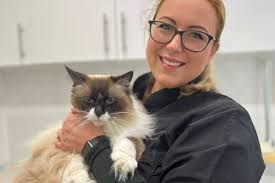 Our Master Cat Groomers Map