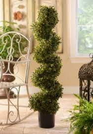 Product Details Boxwood Spiral Topiary 48 In Vanessa S Topiary Boxwood Topiary Topiary Trees