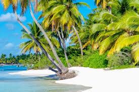 Guadeloupe is an archipelago of eight inhabited islands in the lesser antilles, between the tropical atlantic and the caribbean sea. Die Inseln Von Guadeloupe Praktische Informationen Visa Wahrung Impfungen