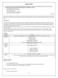 Action potential physiology phases and steps made easy. Emrcs Mcq Pdf Common Carotid Artery Thumb