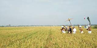 2) kegiatan produksi mempertimbangkan masa depan. Indonesia Sebagai Negara Agraris Apa Artinya Halaman All Kompas Com