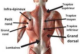 Or le repos n'est pas toujours le bon traitement : Muscler Son Dos 3 Idees D Exercices A Realiser A La Maison