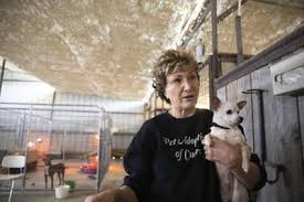 Veterinary clinic in dewitt, mi offering wellness services, routine elective surgery, a variety of patient diets and therapeutics. After Rescuing 18 Dogs Cuero Adoption Center Needs To Find Homes W Video Dewitt Victoriaadvocate Com