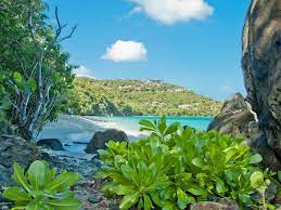 Little cinnamon bay st john. Little Cinnamon Beach St John Beach Guide St John Beach Guide