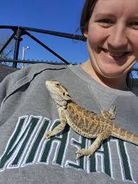 What else can I add to my 5-month-old bearded dragon's greens to get him  used to eating them?