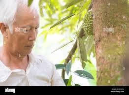 Workers food malaysia hi-res stock photography and images