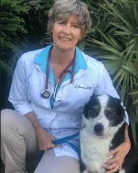 Description:rancho santa fe veterinary hospital is located in the vons shopping center on lomas santa fe and offers general veterinary care for all pets. Veterinarian Near 33801 Dr Julia Jones Santa Fe Animal Hospital