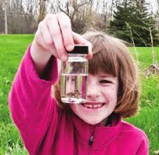 Report to the Community