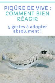 5 Choses A Faire En Cas De Piqure De Vive Piqure Choses A Faire Faire Soi Meme
