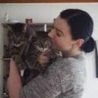 Einseitig Geschwollener Lymphknoten Katzen Forum Das Grosse Katzenforum