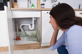 Deboucher un wc fosse septique. Fosse Septique Bouchee Toutes Les Solutions