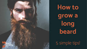 Some, well, they've already gone for it. How To Grow A Long Beard 5 Surprisingly Simple Tricks