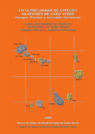 Image result for Vernonia melanocoma