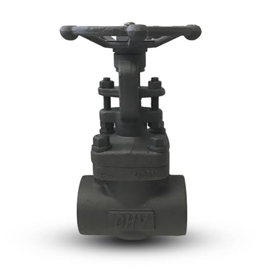 Forged Steel Valves