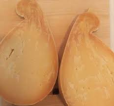 Image result for Casearia runssorica