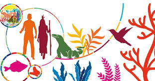 We did not find results for: International Day For Biological Diversity