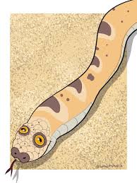 Последние твиты от a real life arabian sand boa (@ironywine). Arabian Sand Boa By Nymuire Fur Affinity Dot Net