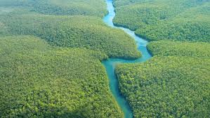 What Is The Longest River In The World Mental Floss