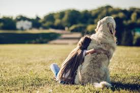 Buying health insurance for the first time seems confusing at first. New Study From The University Of Melbourne Shows Impact Of Pet Insurance Against Economic Euthanasia In Pets
