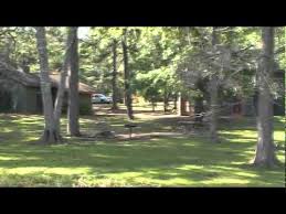 Each getaway cabin is equipped with kitchen, tv, games, boat ramp and picnic tables. Lake Bistineau State Park Louisiana Youtube