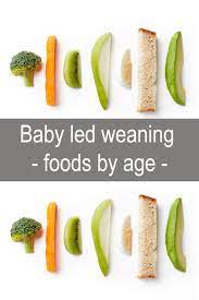 baby led weaning foods by age rezepte furs baby hausgemachte babynahrung fingerfood baby