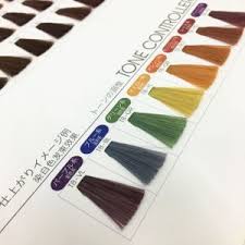 crazy hair color hair colour chart book