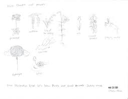 The ukulele chord finder shows you how to play ukulele chords. Sketches